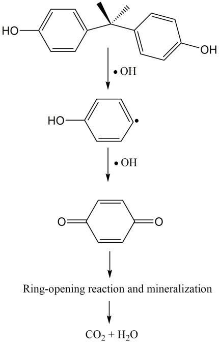 Biohybrid catalyst with coper nanoparticles