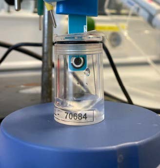 Sensor capable of detecting sulphur compounds in wines