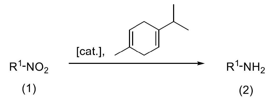 Obtaining amines from nitrocompounds through an effective, economical and sustainable process