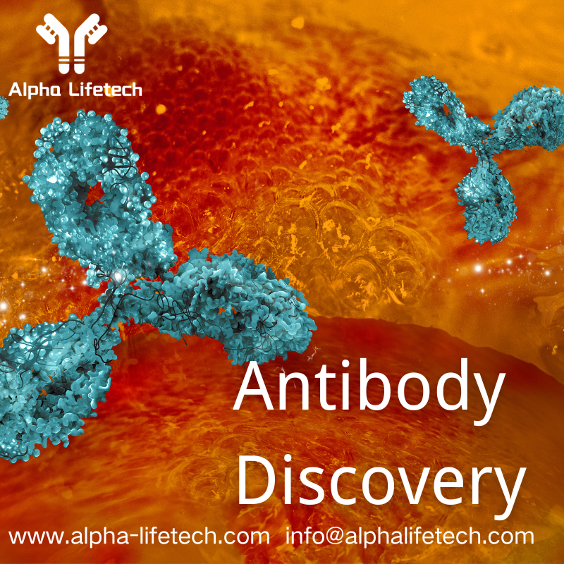 Alpha Lifetech-Phage Display For Antibody Discovery