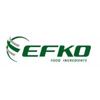 EFKO Food Ingredients