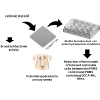NEW CATIONIC STEROID WITH ANTIMICROBIAL PROPERTIES