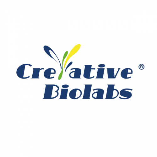 Creative Biolabs offers stable cell line services