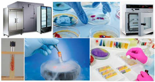 Microbial Strains Preservation