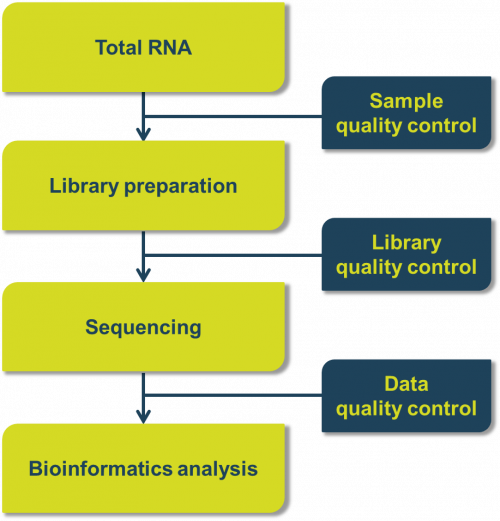 Eukaryotic Microbial RNA Sequencing