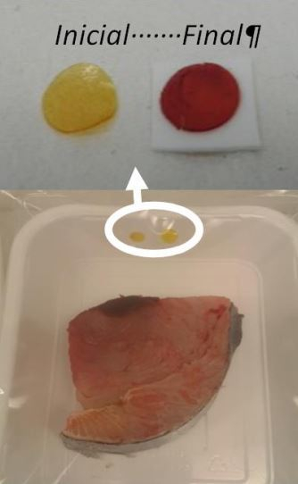 Etiqueta inteligente que determina la calidad y frescura del pescado envasado